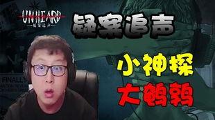 东北大鹌鹑视频回放,揭秘电竞选手的日常与成长历程